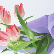 Оригинал схемы вышивки «тюльпаны» (№25492)