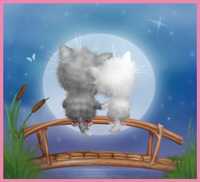 funny cats 13 - милые картинки, мост, кошки, парочка, кыся, вода, луна, любовь - оригинал