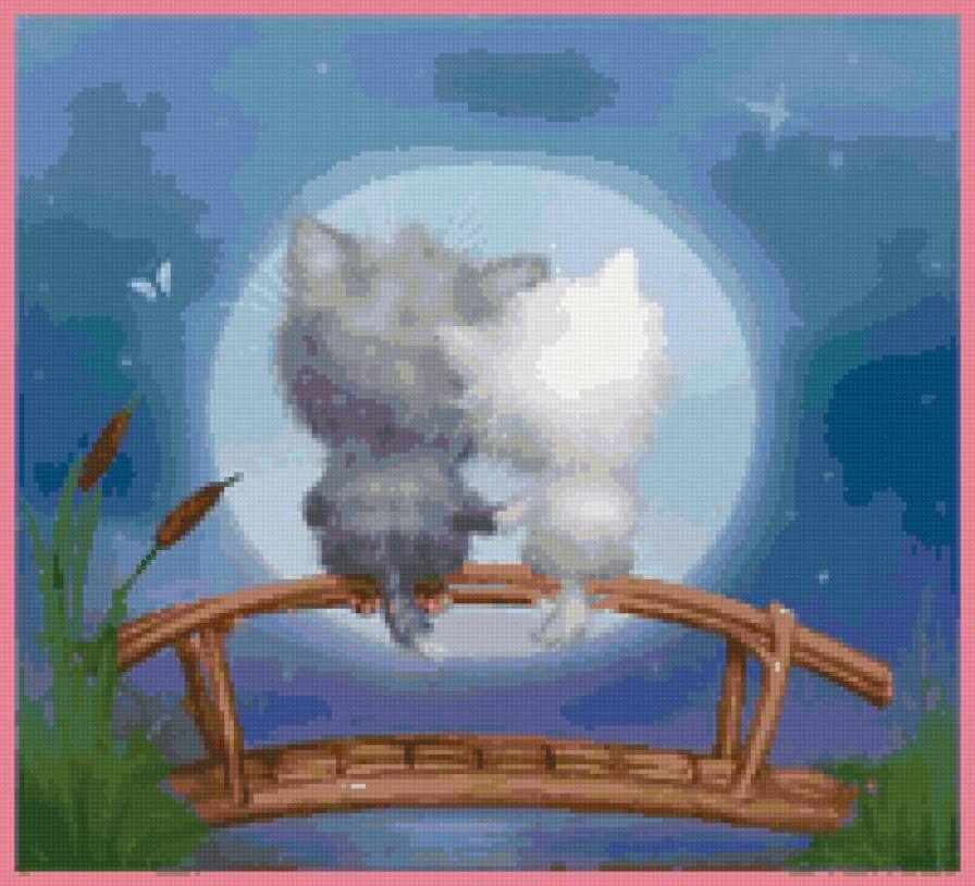 funny cats 13 - луна, кыся, любовь, парочка, мост, вода, кошки, милые картинки - предпросмотр
