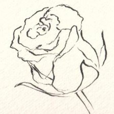 Оригинал схемы вышивки «Роза 3» (№26031)
