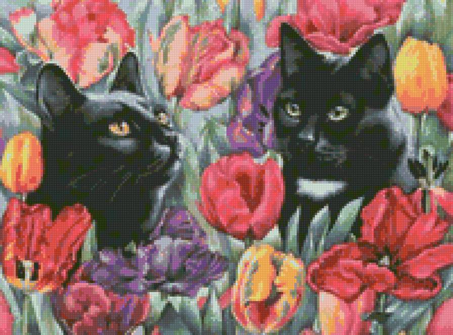 черные кошки - цветы, кошки - предпросмотр
