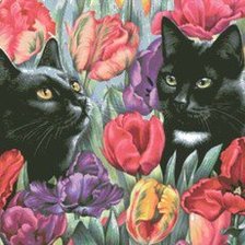 Схема вышивки «черные кошки»