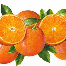 Оригинал схемы вышивки «Апельсинчики» (№26683)
