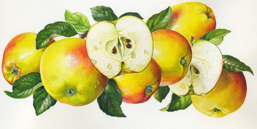Яблочки - яблоко, яблочки, панно, яблоки, плоды, фрукты - оригинал