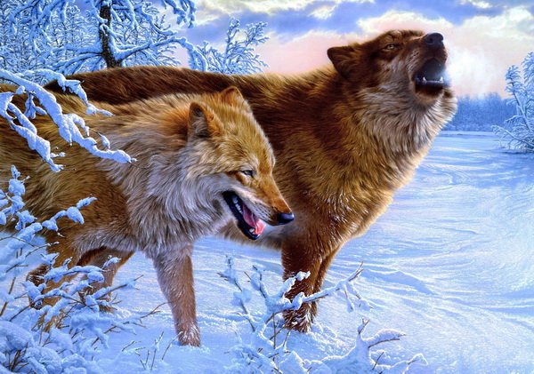 Серия "Волки" - зима, волки, животные, пейзаж - оригинал