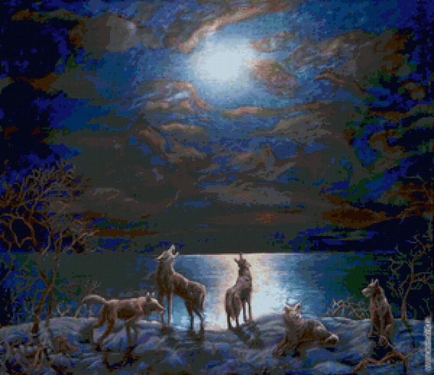 Серия "Волки" - ночь, озеро, пейзаж, животные, волки - предпросмотр