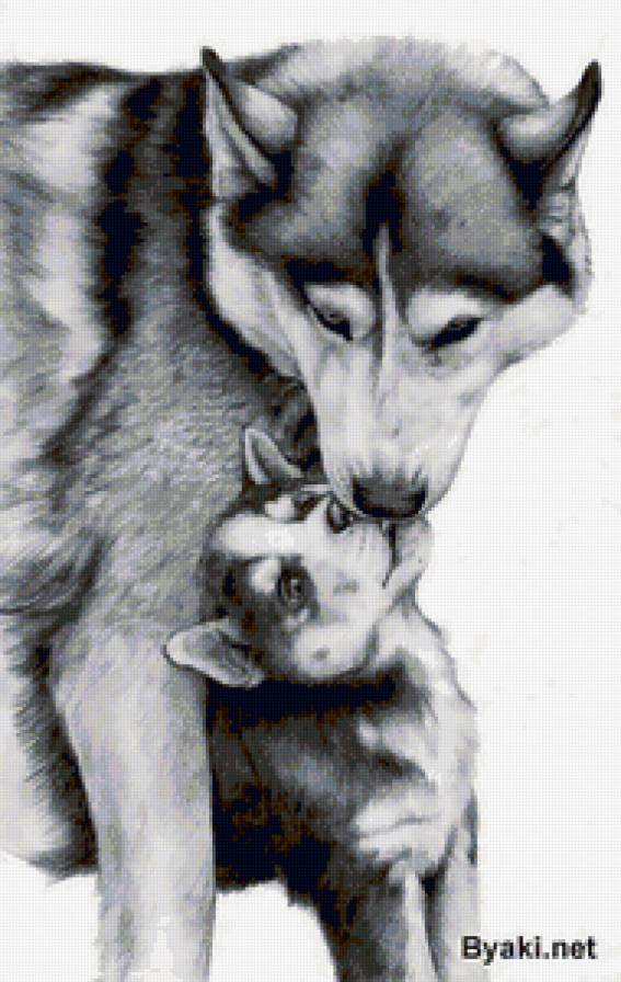 семья - животные, волки, семья - предпросмотр