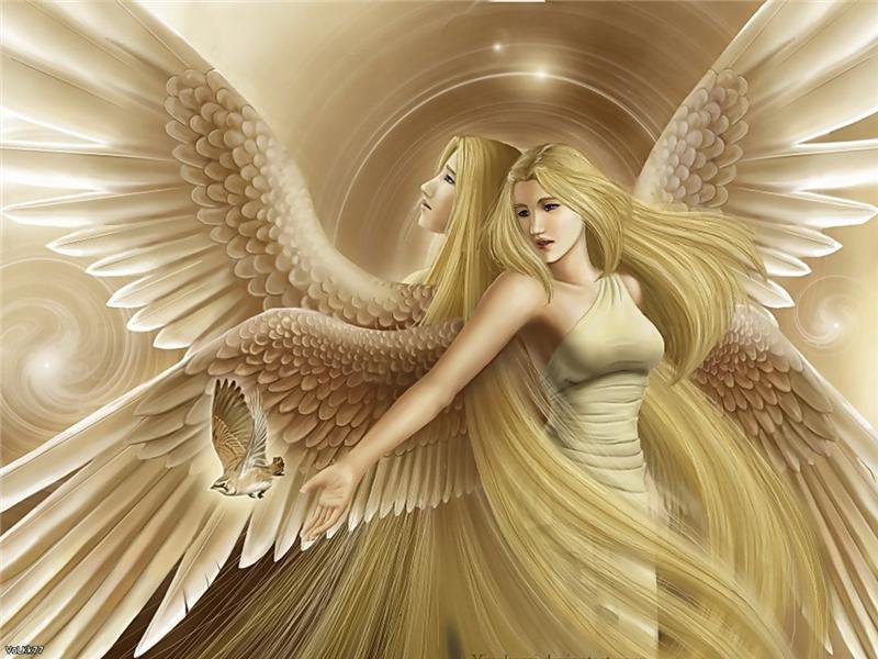 ангел - птицы, ангел, животные, природа, девушка, дети - оригинал
