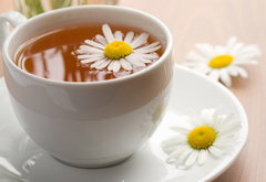 натюрморт - натюрморт, чай, цветы, ромашки - оригинал