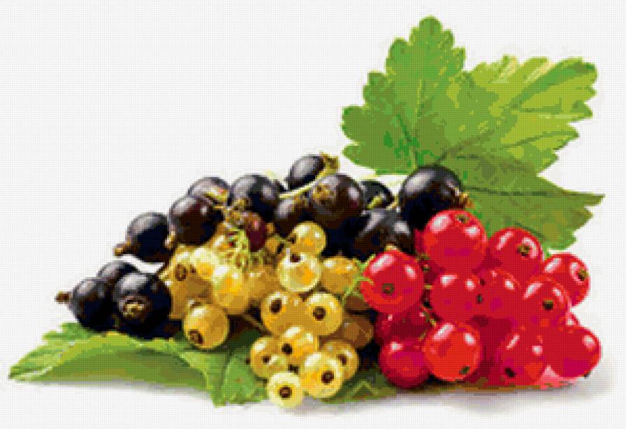 натюрморт с ягодами - натюрморт, ягоды, смородина - предпросмотр