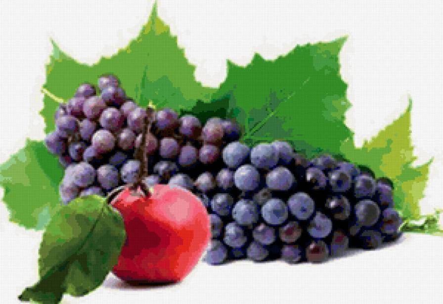 натюрморт - ягоды, виноград, натюрморт, яблоки, фрукты - предпросмотр