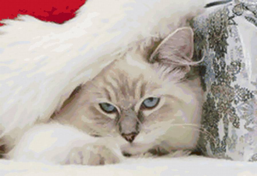 новогодняя открытка - кошка, кот, новый год - предпросмотр