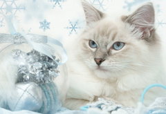 новогодняя открытка - кошка, кот, новый год - оригинал