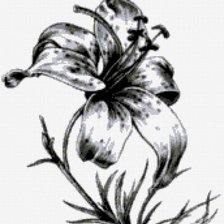 Оригинал схемы вышивки «цветок» (№28581)