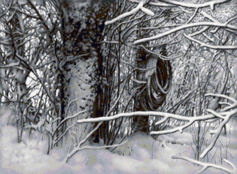 зима - снег, зима, лес, природа, деревья - предпросмотр