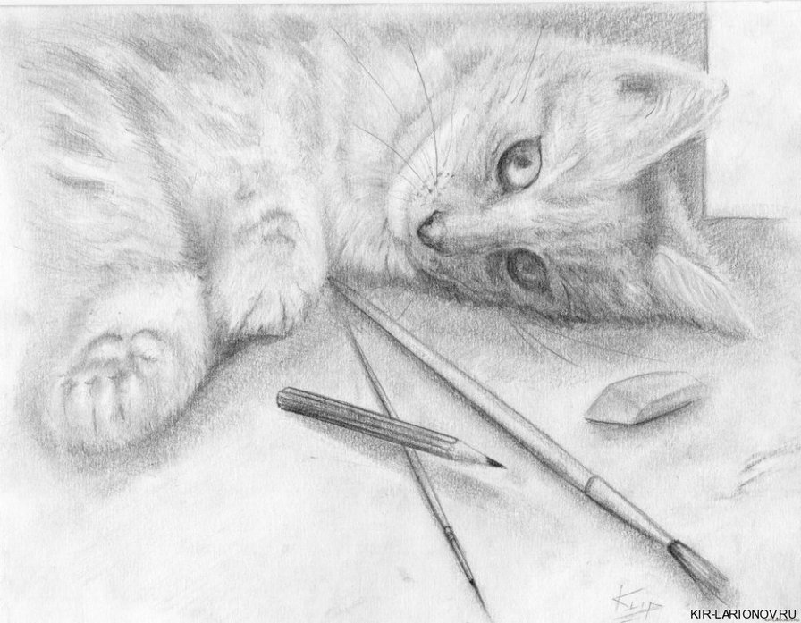 котенок - кот, котенок, кошка, животные, карандаши - оригинал