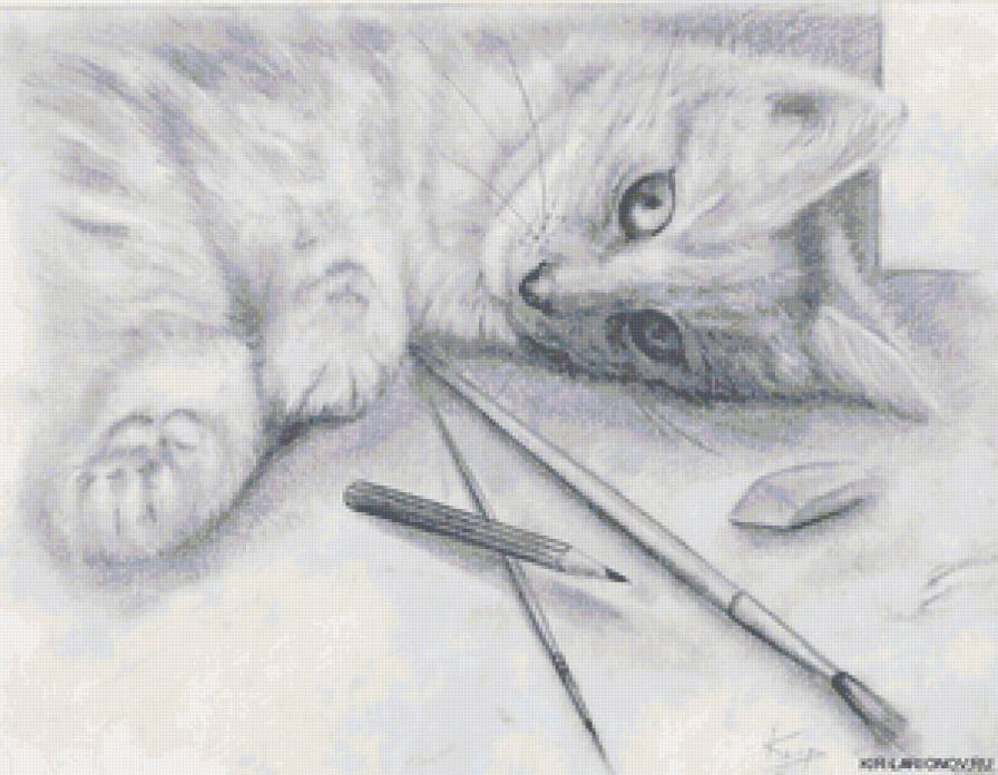 котенок - животные, кошка, кот, котенок, карандаши - предпросмотр