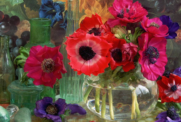Натюрморт - банки, стакан, бутылки, ваза, стекло, цветы - оригинал