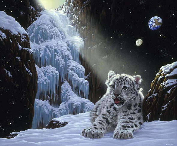 Серия "Большие кошки" - снежный барс, животные, кошка, ирбис, зима - оригинал