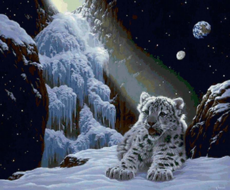 Серия "Большие кошки" - зима, ирбис, животные, снежный барс, кошка - предпросмотр