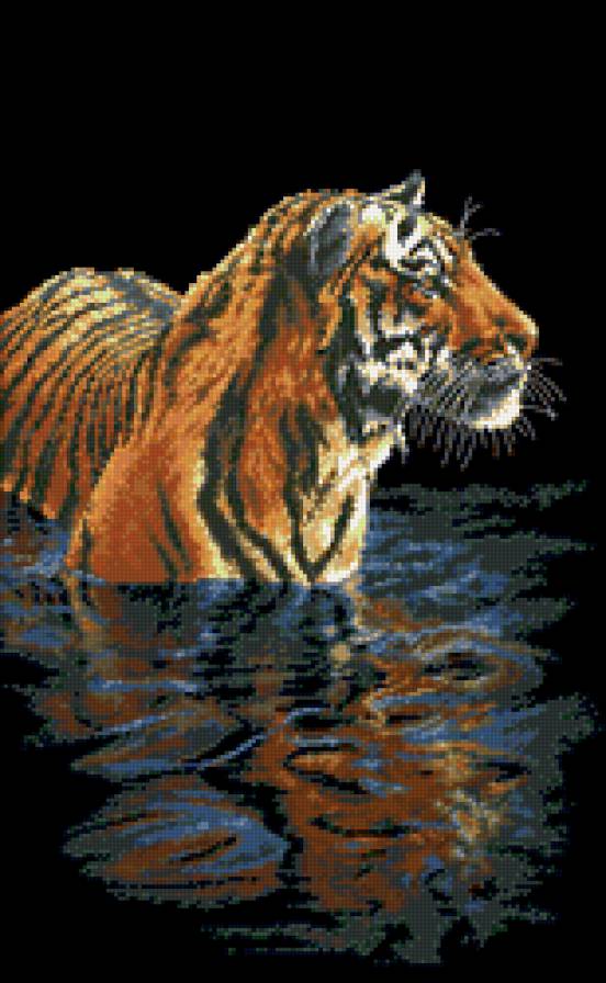 Тигр - ночь, вода, тигр, озеро - предпросмотр