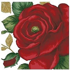 №28785 - цветы, ваза, розы, падушка, букет - оригинал