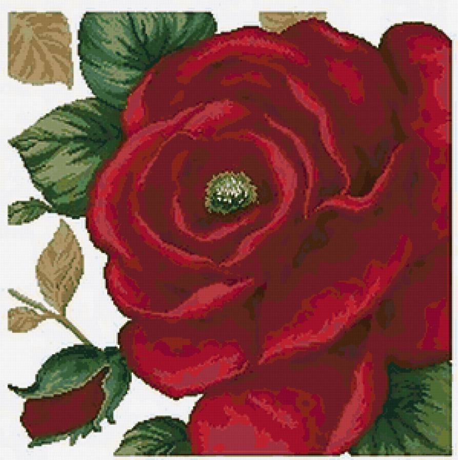 №28785 - розы, падушка, цветы, букет, ваза - предпросмотр