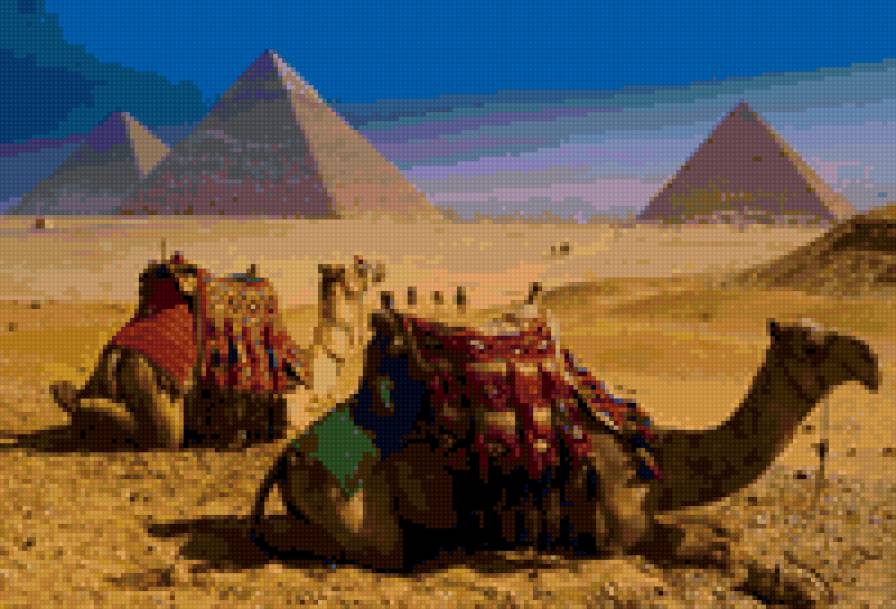Египет - верблюд, пирамиды - предпросмотр