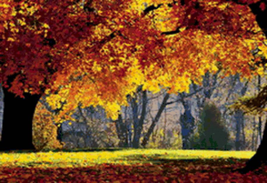 осенний пейзаж - пейзаж, осень, деревья, парк - предпросмотр