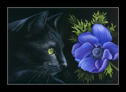 Кот и цветы - цветы, коты, животные, живопись, монохром - оригинал