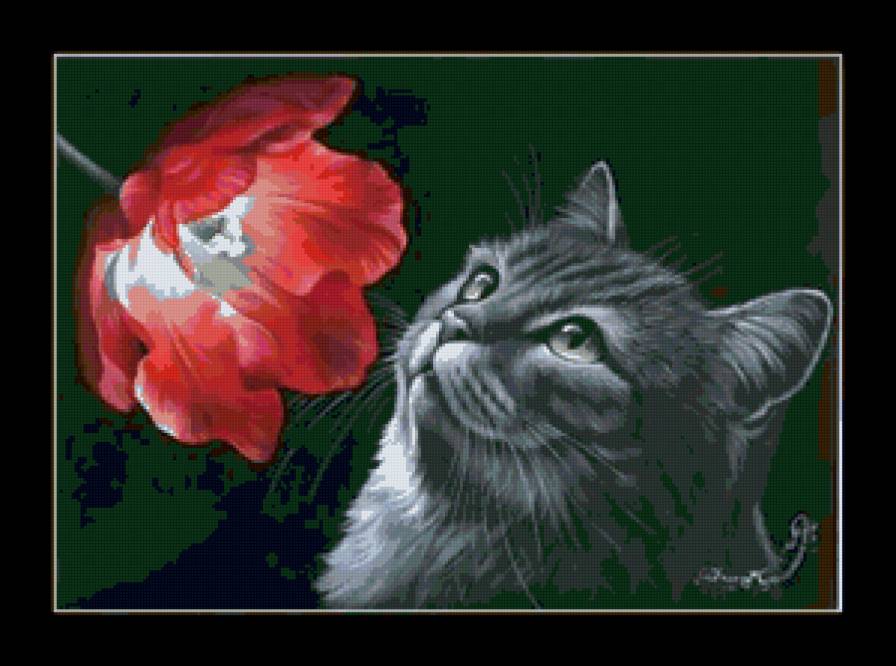 Кот и цветы - цветы, животные, коты, монохром, живопись - предпросмотр