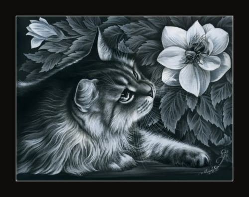 Кот и цветы - животные, цветы, живопись, монохром, коты - оригинал