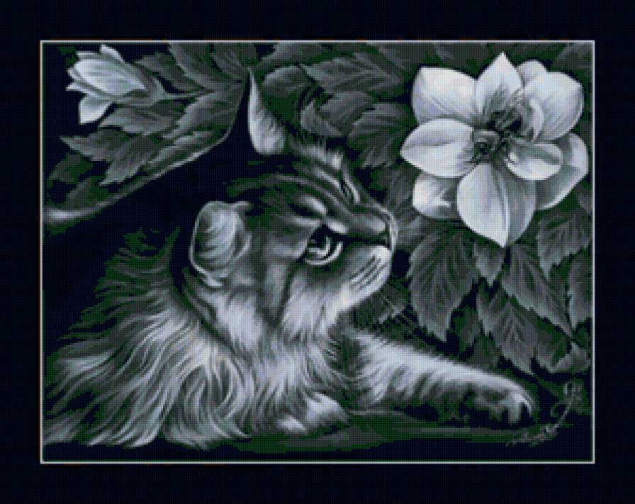 Кот и цветы - цветы, коты, живопись, монохром, животные - предпросмотр