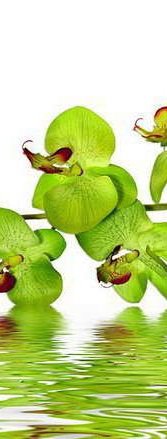 Орхидея 2 - триптих, цветы - оригинал