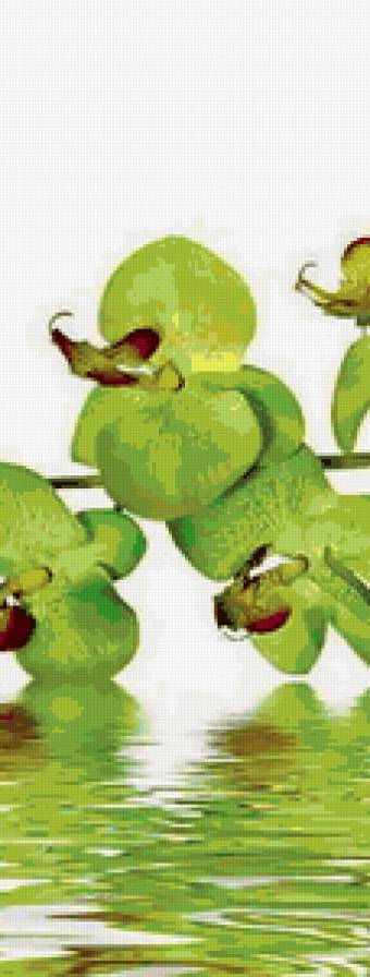 Орхидея 2 - триптих, цветы - предпросмотр