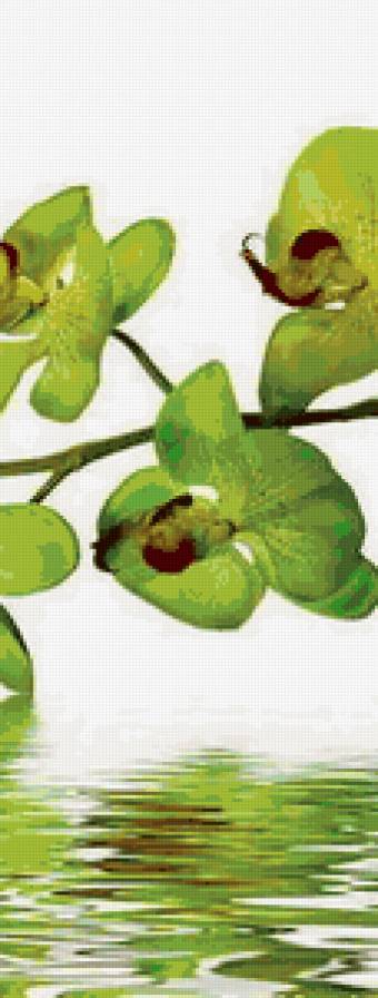 Орхидея 3 - триптих, цветы - предпросмотр