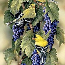Схема вышивки «Желтые птички»