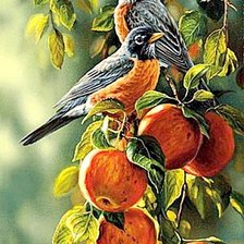 Оригинал схемы вышивки «Птицы на яблоне» (№29400)