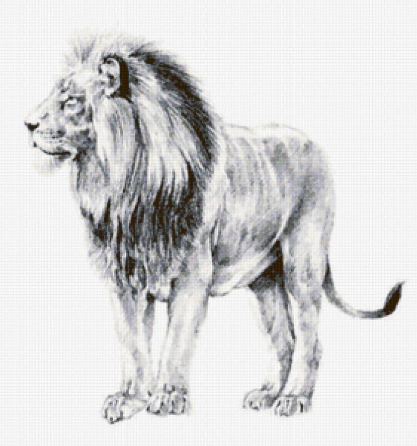лев - лев, животные, львица, львенок, хищник - предпросмотр