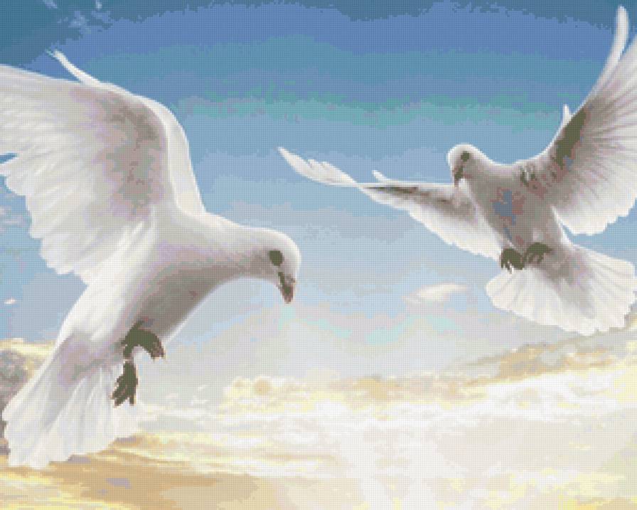 Белые голуби - предпросмотр
