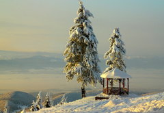 зимний пейзаж - ели, зима, деревья, снег, пейзаж - оригинал