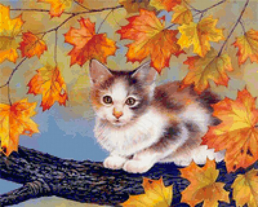 осень - кот, кшка, осень, животные, листья - предпросмотр