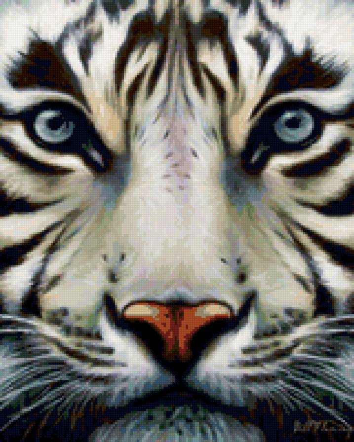 тигр - животные, тигр, хищники - предпросмотр