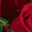 Предпросмотр схемы вышивки «розы» (№30404)