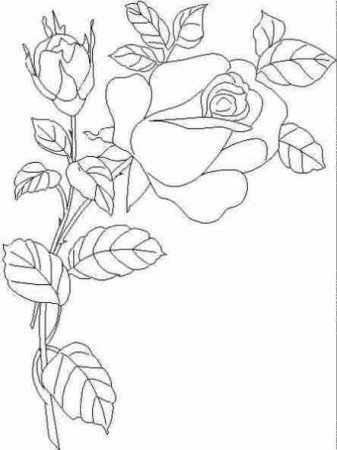 черно-белое - природа, цветы, букет, натюрморт - оригинал