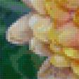 Предпросмотр схемы вышивки «цветы» (№30703)