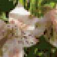 Предпросмотр схемы вышивки «цветы» (№30757)