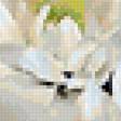 Предпросмотр схемы вышивки «Белые хризантемы» (№30896)
