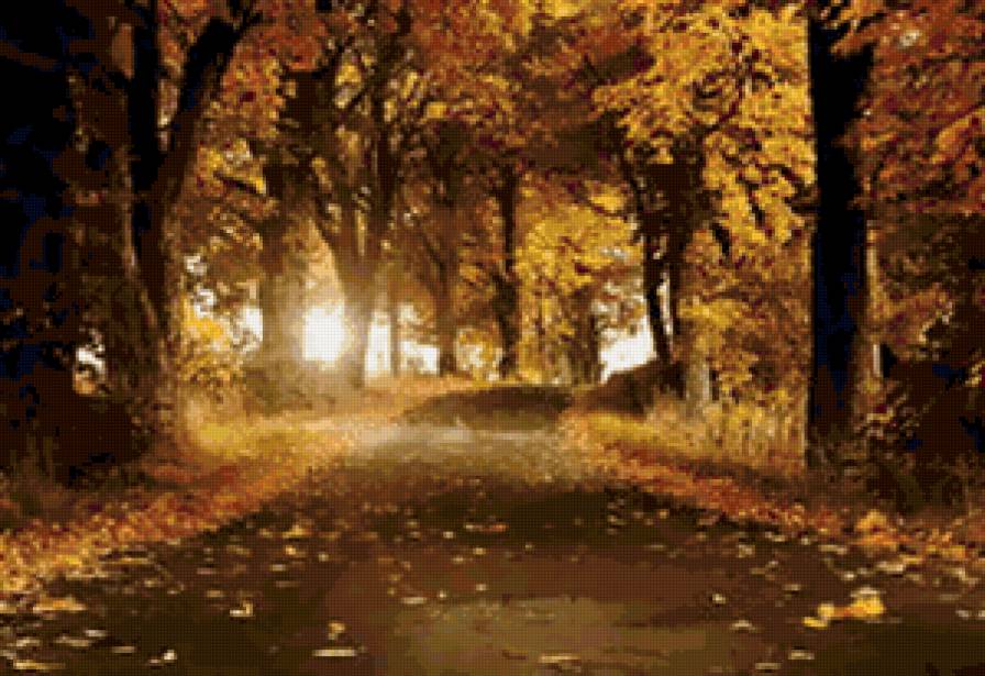 золотая осень - лес, парк, осень - предпросмотр