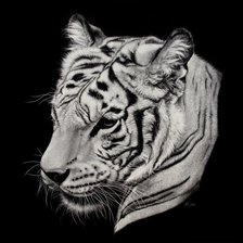 Оригинал схемы вышивки «Тигр» (№31085)